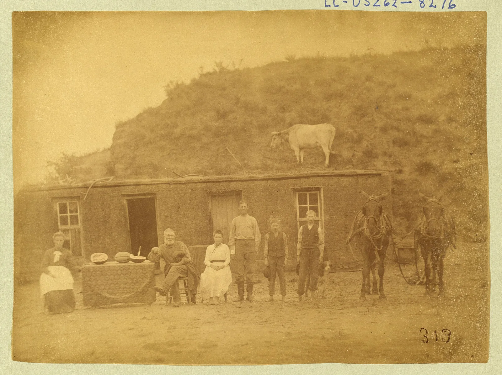 The Sylvester Rawding family posed before their sod house on the Nebraska prairie in 1886, a Solomon Butcher photograph